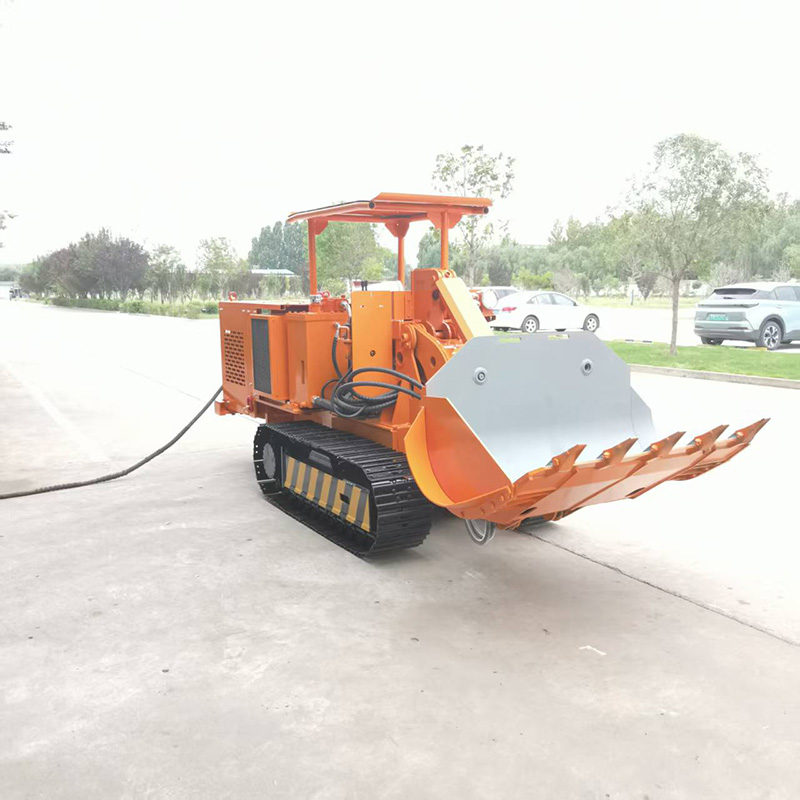 Side Dump Rock Loader Price