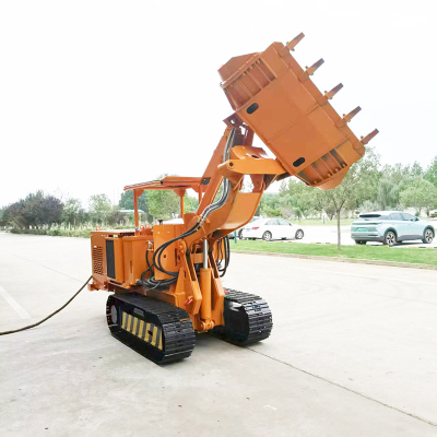 Máy xúc đá tự đổ bên tùy chỉnh